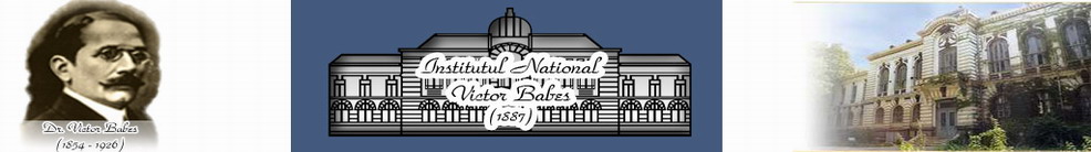 Placeholder  Image